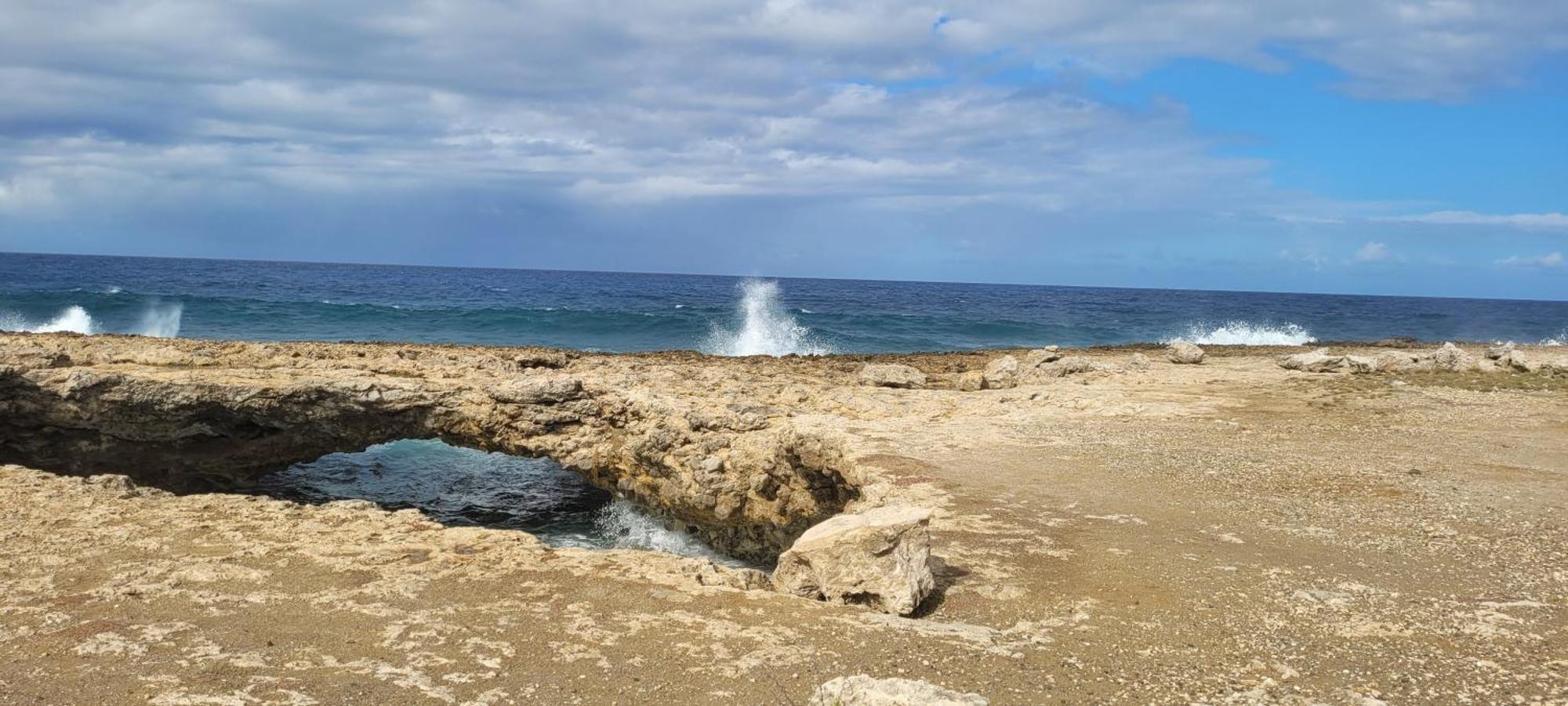 Cattleya Apartments Curacao Willemstad Kültér fotó